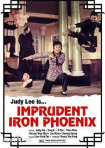 The Imprudent Iron Phoenix Hong Kong Movie photo
