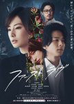 First Love japanese drama review