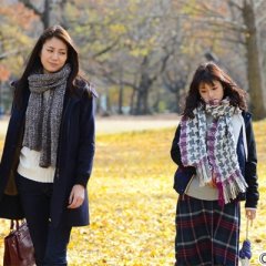 Dear Sister Japanese Drama photo