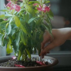 Love After Love Chinese Movie(2020) photo