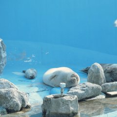 Garden, Zoological Korean Movie photo