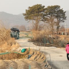 The Poem, My Old Mother Korean Movie photo