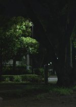 Among Four of Us Japanese Movie photo