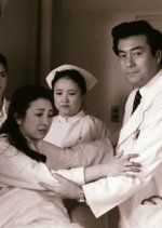 Kyoto Karugamo Byoin Japanese Drama photo