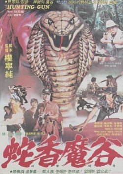The Treasure Hidden In A Valley (1981) poster
