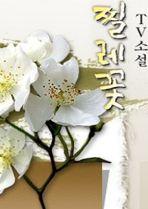 Tv Novel: Briar Flower (2003) poster