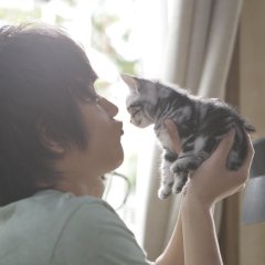 You and Me Japanese Movie photo