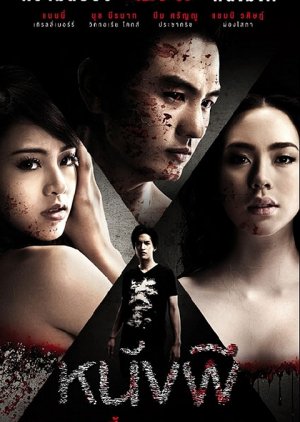 The Cinderella (2011) poster