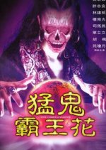 Here Comes a Vampire Hong Kong Movie photo