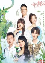 Let's Fall In Love Season 3 Chinese TV Program photo