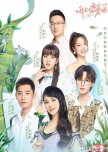 Let's Fall In Love Season 3 chinese drama review