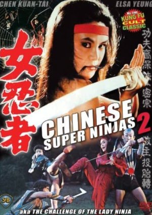 The Challenge of the Lady Ninja (1983) poster