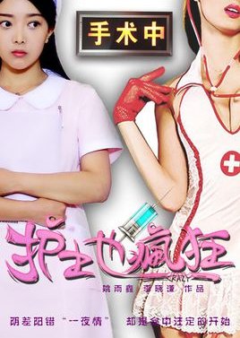 Crazy Nurse (2016) poster