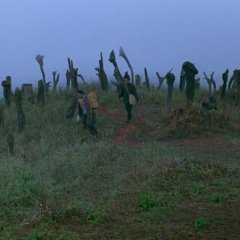 King of the Children Chinese Movie photo