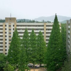 Cat's Apartment Korean Movie photo