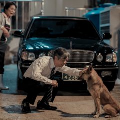 Harodongseon Korean Movie photo