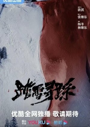 Ta Xue Xun Zong () poster