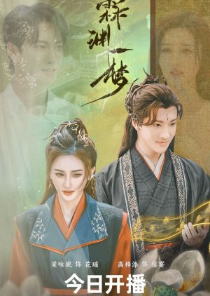 Lin Yuan Yi Meng (2024) poster