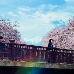 Let Me Eat Your Pancreas Japanese Movie photo