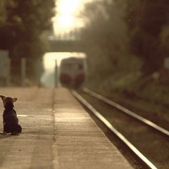 Ishioka Taro Japanese Movie photo