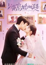 Love at Second Sight Chinese Drama photo