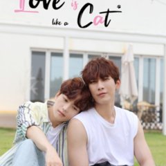 Love Is Like a Cat Korean Drama photo