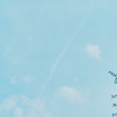 Taikan Yoho (2023) photo