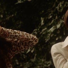 Falling into the Evening Japanese Movie photo