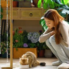 I Know I Love You Chinese Drama photo