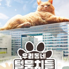 Our Neighborhood Furballs Korean TV Program photo