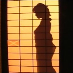 Ninja Vixens: Flame of Seduction Japanese Movie photo