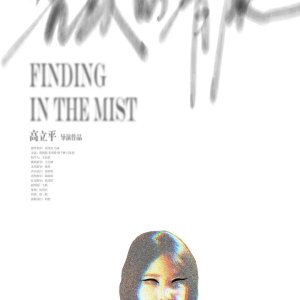 Finding in the Mist (2024)