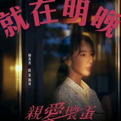 Lovely Villain Taiwanese Drama photo