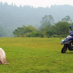 Betelnut Chinese Movie photo