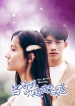 Sea Breeze Blowing Chinese Drama photo