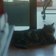 Chihayafuru Part 2 Japanese Movie photo