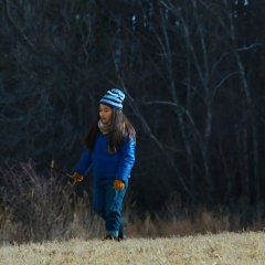 Evil Does Not Exist Japanese Movie photo