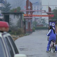 The Foolish Bird Chinese Movie photo