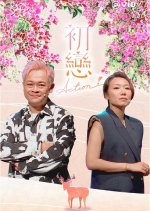 First Love Again Hong Kong TV Program(2023) photo