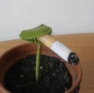 SoupyMoon