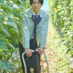 Noka no Mikata Japanese Drama(2021) photo