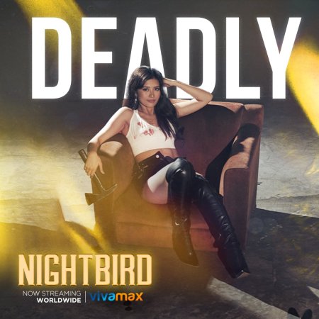 Nightbird (2023)