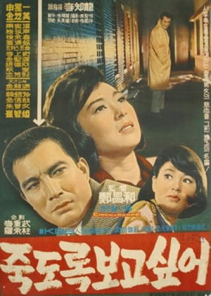 Missing You to Death (1965) poster