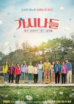 The Gashinas Korean TV Program photo