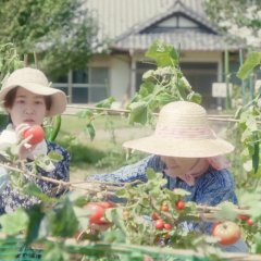 Gunjo Ryoiki Japanese Drama photo