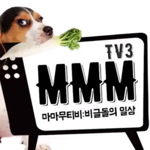 MMMTV3 (2017)