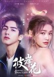 Chinese dramas/Movies I've seen