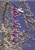 Hana Ichiban Japanese Drama photo