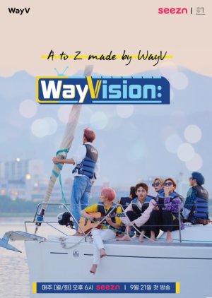 WayVision Season 1 (2020) poster