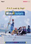 WayVision Season 1 korean drama review